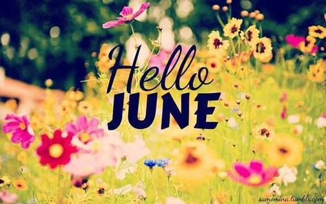 Hello June June Sayings, Welcome June Images, Happy Days Quotes, June Images, Quotes Goodbye, Goodbye May, June Pictures, Love In Spanish, June Quotes