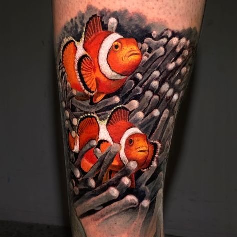 Clown Fish Tattoo, tomatoe clown fish tattoo, tomato clown fish tattoo, clown fish tattoo design, clown fish tattoo designs, cute clown fish tattoo, multi clown fish tattoo, american traditional clown fish tattoo, clown fish tattoo meaning, small clown fish tattoo, clown fish tattoo outline, #clownfish #clownfishtattoo #sleeveprogress #seasleeve #shark #sharktattoos #localtattooartist #localtattooshop #shoplocal #siouxfallls #inked #inklife #customcreations #inkstagram #inkslinger American Traditional Clown, Simple Fishing Tattoo, Small Fishing Tattoo, Clown Fish Tattoo, Tattoo Fishing, Ocean Theme Tattoos, Fish Tattoo Design, Ocean Sleeve Tattoos, Tattoo Koi