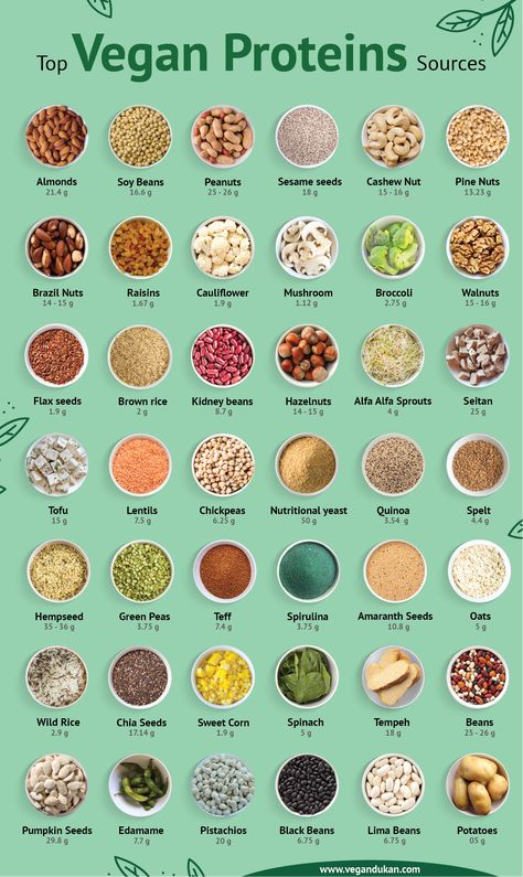 Vegan food are always surrounded by the myth of not having enough protein. To debunk this myth, we made a list of 40+ vegan food items along with their protein content per 100g Vegan Protein Recipes, Vegan Protein Sources, High Protein Vegan Recipes, High Protein Vegan, Vegan Nutrition, Vegan Meal Plans, Tasty Vegetarian Recipes, Snacks Saludables, Vegan Meal Prep