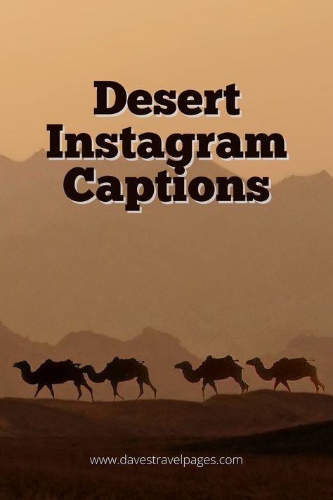 Are you planning a trip to the desert soon? If so, you'll want to make sure you have some great Instagram captions ready to go! Here are some of our favorites. Desert Vibes Quotes, Caption For Desert Picture, Camel Ride Captions For Instagram, Egypt Captions Instagram, Quotes About The Desert, Desert Quotes Instagram, Desert Captions For Instagram, Egypt Quotes, Desert Quotes