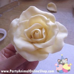 Making a Rose with White Chocolate Modelling Paste Steph @ PartyAnimalOnline Cake, Fondant, Flowers, Modelling Chocolate, Fondant Rose, Modeling Chocolate, A Rose, Gold, White