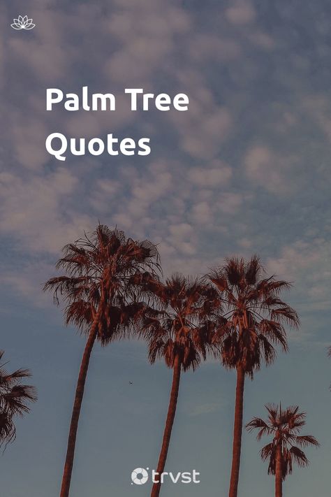 "Palm Tree Quotes"- Palm tree scenes of tranquil beaches and white sand leave us all wanting for more holidays and time away from the grind. And they're famous in hundreds of movie scenes and cityscapes across the world. These palm tree quotes inspire us to pause and take a moment, and be... #trvst #quotes #mind&body #sand #trees #relaxation #white #life #beaches #tree #weplanttrees #begreat #green Palm Tree Quotes Inspiration, Palm Quotes, Palm Tree Quotes, Vacation Quotes Funny, Shade Quotes, Psalm 92, Growing Quotes, Sea Quotes, Rhyming Poems