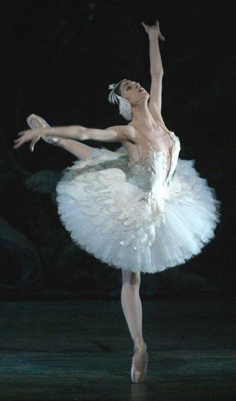 Paloma Herrera as Odette in Swanlake Music Box Ballerina, Ballet Painting, Swan Lake Ballet, Ballet Images, Dance Magazine, Trendy Music, Ballerina Costume, Ballet Beauty, Dance Dreams