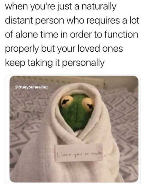 101 I Love You Memes - "When you're just a naturally distant person who requires a lot of alone time in order to function properly but your loved ones keep taking it personally." Love You Meme, Kermit Funny, Introvert Humor, Alone Time, L Love You, Memes Humor, Really Funny Memes, Funny Laugh, Relatable Quotes