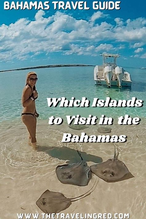 Which Islands to Visit in the Bahamas Bahamas Bimini, Waterfall Cave, Bahamas Travel Guide, Bahamas Trip, Bimini Bahamas, Eleuthera Bahamas, Swimming Pigs, Islands To Visit, Nurse Shark