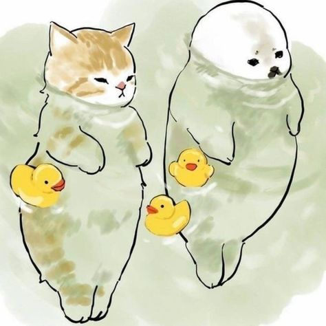 Two Cats, Ducks, We Heart It