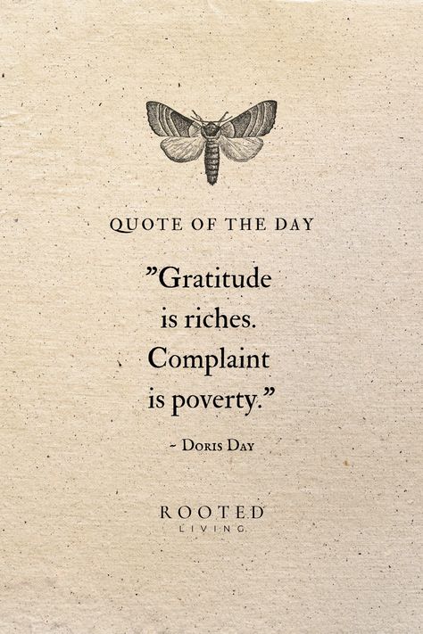 Gratitude is the truest form of wealth. It enriches our hearts and souls, allowing us to see the abundance that surrounds us. On the other hand, complaining is a form of poverty, as it blinds us to the treasures we already possess. Choose gratitude, and you'll discover a world of abundance! Choose Gratitude Quotes, Gratitude Quotes, Heart Soul, Scripture Quotes, Life Purpose, Beautiful Words, A World, Quote Of The Day, Gratitude