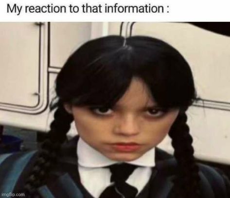 Wednesday Addams Cursed Pictures, Wednesday Addams Funny Pics, Wednesday Cursed, Wednesday Memes Humor, Funny Wednesday Addams, Wednesday Addams Meme, Wednesday Addams Funny, Wednesday Fanart, Jena Ortega