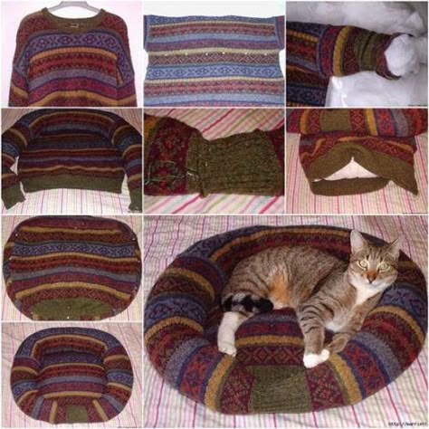 Katt Diy, Katt Grejer, Diy Cat Bed, Kat Diy, Diy Pet Bed, Recycled Sweaters, Old Sweater, Pet Ideas, Cat Beds