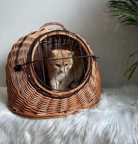 wicker pet carrier storage basket, cat and dog house indoor, handmade ecofriendly gift for pets, small dog carrier, pet bed, pets gift by WorldOfVines on Etsy Wicker Cat Bed, Dog House Indoor, Cat In Basket, Small Dog Carrier, Niche Chat, Pet Storage, Cat Basket, Pet Crate, Stuffed Animal Storage