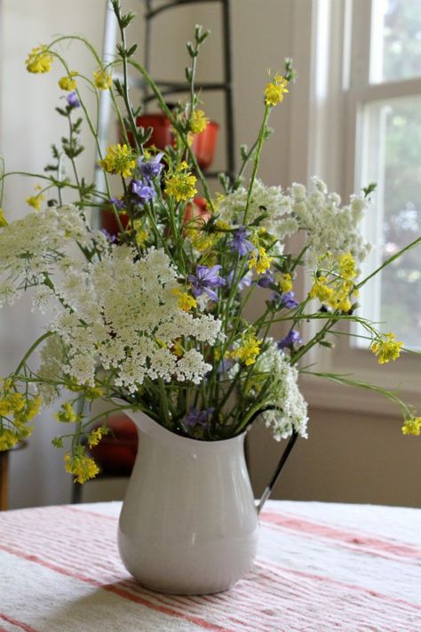 Wildflower bouquet in VTG Swedish Kokum pitcher. I gathered these while on a bike ride. Flower Arrangements In Pitchers, Casual Floral Arrangements, Wild Flower Arrangements Wildflowers, Spring Summer Floral Arrangements, Cottage Floral Arrangements, Pitcher Floral Arrangements, Casual Flower Arrangements, Jug Of Flowers, Wild Flower Floral Arrangements