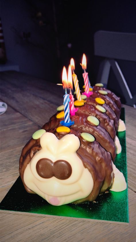 #colinthecaterpillar #colinthecaterpillarcake #cake Colin The Caterpillar Cake, Birthday Pies, Colin The Caterpillar, Caterpillar Cake, Brother Birthday, Food Diary, Chocolate Lovers, Caterpillar, Chocolate Cake