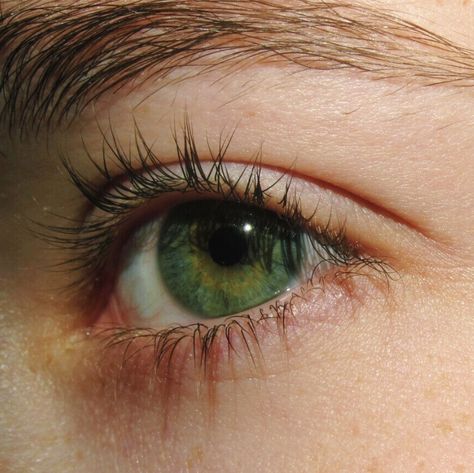 Green Green Eyes Aesthetic, Eyes Aesthetic, Crystal Eyes, Lily Evans, Eye Photography, Aesthetic Eyes, Pretty Eyes, Eye Art, Character Aesthetic