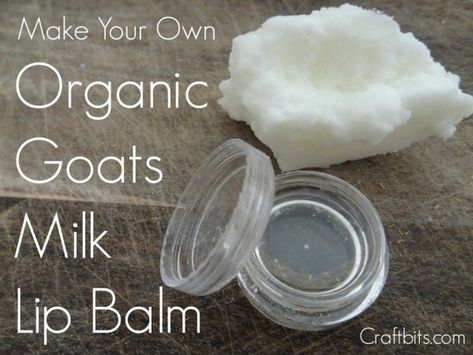 Goats Milk Recipes, Milk Lip Balm, Milk Ideas, Milk Uses, Goat Milk Soap Recipe, Goat Milk Products, Milk Soap Recipe, Goat Milk Recipes, Goat Soap