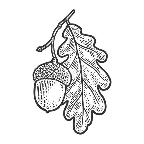 Oak And Acorn Tattoo, Embroidery Oak Leaf, Oak Leaf Tattoo Design, Oak Leaf Design, Oak Leaf Embroidery, Acorn Linocut, Oak Leaves Drawing, Oak Leaves Tattoo, Oak Leaf Drawing