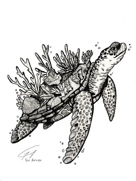 #turtle #sketch #ink #inkdrawing Drawing Of Turtle, Turtle Sketch, Turtle Drawing, Sketch Ink, Drawing Aesthetic, Pen Drawing, Ink Drawing, On Back, Sketch