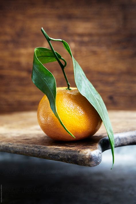 Vegetables Photography, Still Life Pictures, Fruits Photos, Still Life Images, Still Life Fruit, Fruit Photography, Still Life Photos, Still Life Drawing, Foto Art