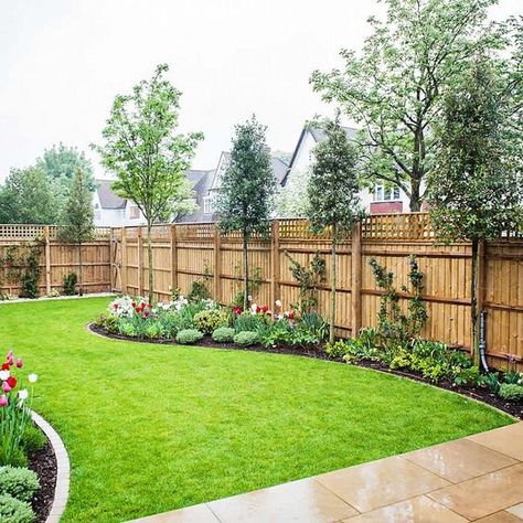 Rockery Ideas, Fence Trees, Colourful Images, Urban Garden Design, Fence Landscaping, Large Backyard, Landscape Designs, Have Inspiration, Backyard Garden Design