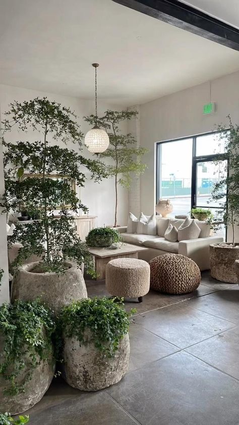 INTERIOR GREENS (@interiorgreens) • Instagram photos and videos Japandi Plant Pot, Large Potted Plants Indoor, Wabi Sabi Plants, Limestone Planter, Antique Stone Sink, Wood Bin, Antique Planter, Stone Sinks, Stone Planter