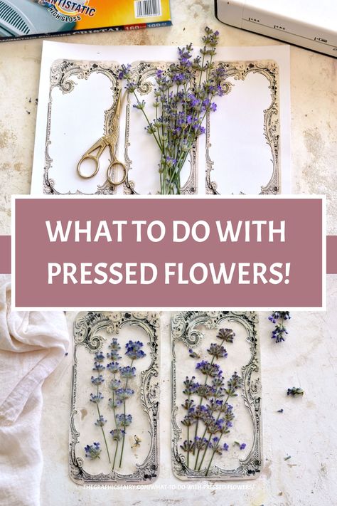 What to do with Pressed Flowers! Dried Flower Petals Crafts, Dried Flower Ideas Diy, Pressed Flower Crafts Diy, Crafts With Pressed Flowers, Diy Dried Flowers Crafts, Pressed Flower Art Diy, Plant Pressing, Crafts Dried Flowers, Diy Pressed Flowers