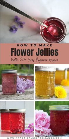 How To Make Preserves, Honey Suckle Jelly Recipe Easy, Herb Jelly Recipes, Foraged Meals, Flower Themed Food, Food Canning Recipes, Jam Canning Recipes, Jelly Canning Recipes, Jelly Recipes For Canning