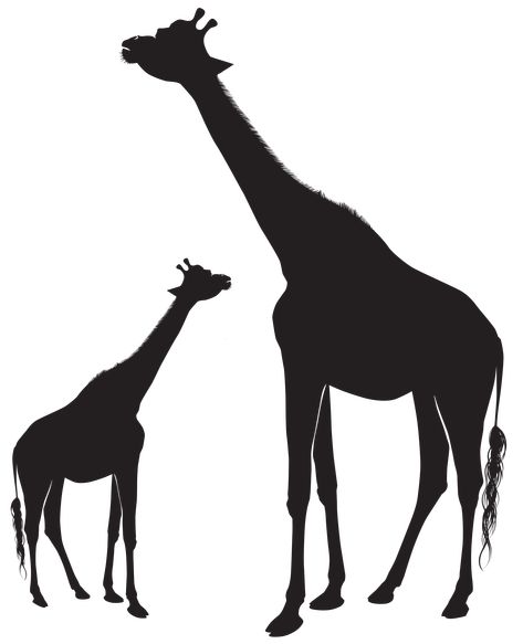 Vertical Composition, Giraffe Images, Giraffe Silhouette, Africa Painting, Giraffe Drawing, Elephant Silhouette, Forest School, Simple Silhouette, Silhouette Png