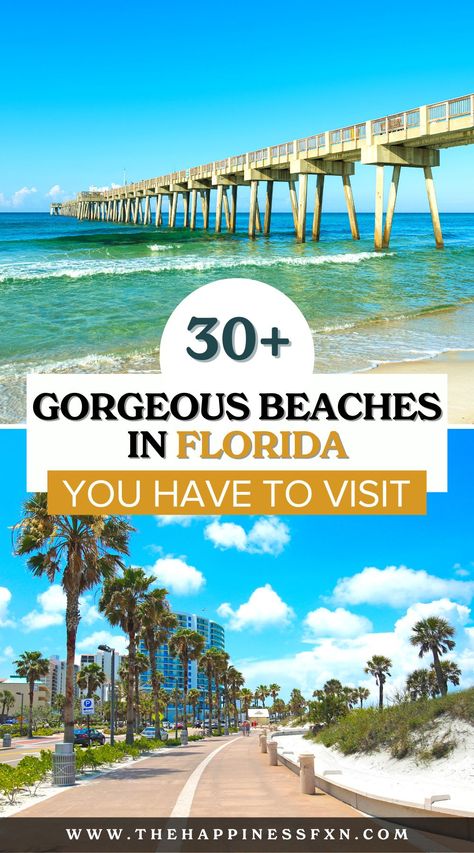 30+ Gorgeous Beaches in Florida You Have to Visit Sousse, Florida Bucket List, Best Beaches In Florida, Things To Do In Florida, Beaches In Florida, Best Beach In Florida, Florida Beaches Vacation, Beach In Florida, Travel Florida