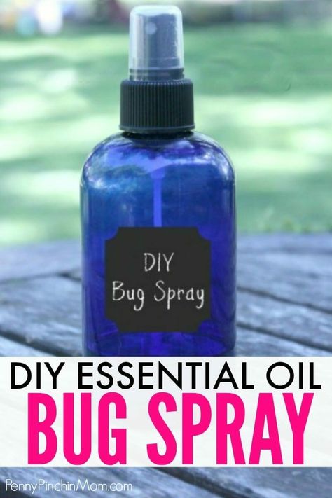 Essential Oil Bug Repellent, Homemade Bug Repellent, Repellent Diy, Essential Oil Bug Spray, Diy Bug Repellent, Bug Repellent Spray, Diy Mosquito Repellent, Homemade Bug Spray, Diy Bug Spray