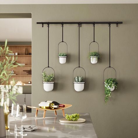 Indoor Climbing Plants, Garden Trellis Designs, Plastic Hanging Planters, Vine Plants, Indoor Plant Wall, Hanging Wall Planters, Plant Hanging, Hanging Planters Indoor, Hanging Plant Wall