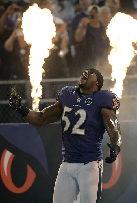 #LL @LUFELIVE #Football #NFL #RayLewis Ray Lewis Quotes, Baltimore Ravens Football, Nfl Football Pictures, Nfl Football Art, Ray Lewis, Ravens Football, Nfl Photos, Football Pictures, A Football