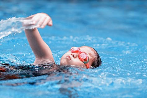 Tips For Swimming, Swimming Pictures, Swimming Strokes, Children Swimming Pool, Swimming Classes, Swim Coach, Bawah Air, Swim School, Indoor Swimming Pool