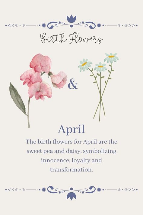 April Birth Flowers, Sweet Pea Tattoo, Birthday Month Flowers, April Birth Flower, Sweet Pea Flowers, April Flowers, Daisy Tattoo, Birth Flower Tattoos, Furniture Interior Design