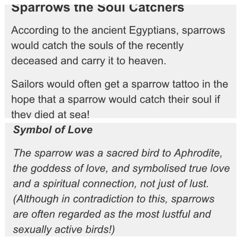 This is the symbol and meaning of the sparrow birds.  So cool! Birds With Meaning, Swallow Meaning, Sparrow Tattoo Meaning, Sparrow Meaning, Swallow Bird Meaning, Birds Symbolism, Bird Symbolism, Sparrow Meaning Spiritual, Bird Symbolism Meaning