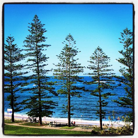 Moffat Beach, Caloundra, Sunshine Coast Caloundra Sunshine Coast, Queensland Australia, Sunshine Coast, Big Island, Great Memories, Queensland, Dream Destinations, Wonderful Places, Beach Pictures