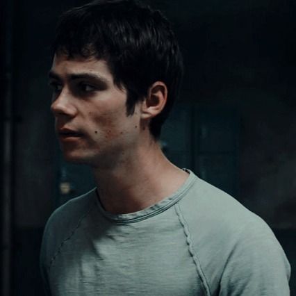 Dylan O Brien Icons, Newt And Thomas, Dylan O'brien Maze Runner, Justin Foley, Newt Maze Runner, Maze Runner Movie, Thomas Sangster, Anime Butterfly, Couples Icons