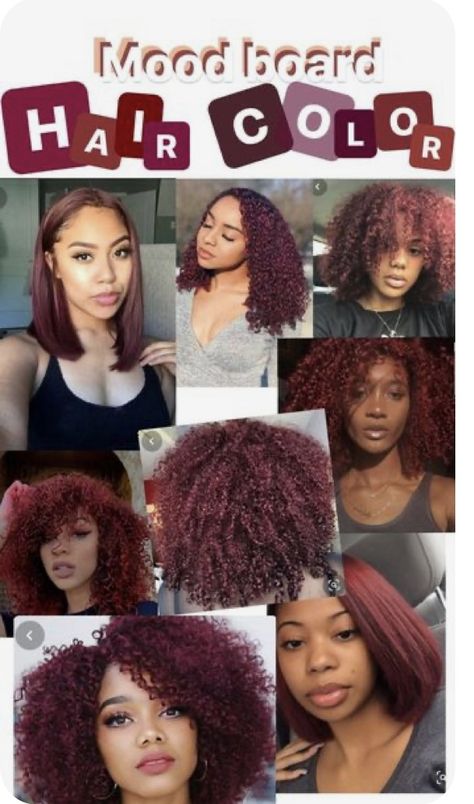 Black Natural Hair Dyed, Auburn Hair Color On Natural Hair, Dyed Curly Hair Burgundy, Auburn Curly Hair Natural, Morron Hair Color, Redish Burgundy Hair Color, Hair Colour Ideas For Black Curly Hair, Hair Color Ideas For Black Natural Hair, Red Hair Ideas Curly Hair