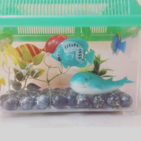 HOMEMADE FAKE AQUARIUM Fake Aquarium, Aquarium Diy, Mini Aquarium, Diy Aquarium, Frutiger Aero, Diy Baby, Watering Globe, Diy Baby Stuff, Business Ideas