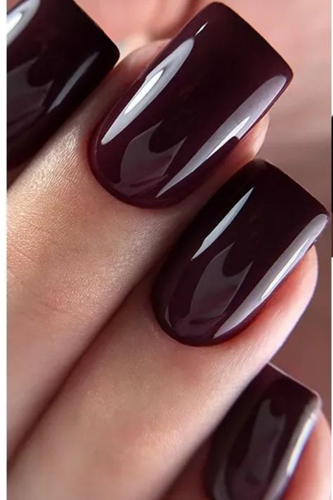 Nail polish Nail polish colors Ideas
best nail polish Eggplant Nail Color, Deep Wine Nails, Wine Nails Designs, Dark Plum Nails, Nails For Autumn, Autumn Nail Ideas, Dark Color Nails, Burgundy Nail Polish, Color Uva