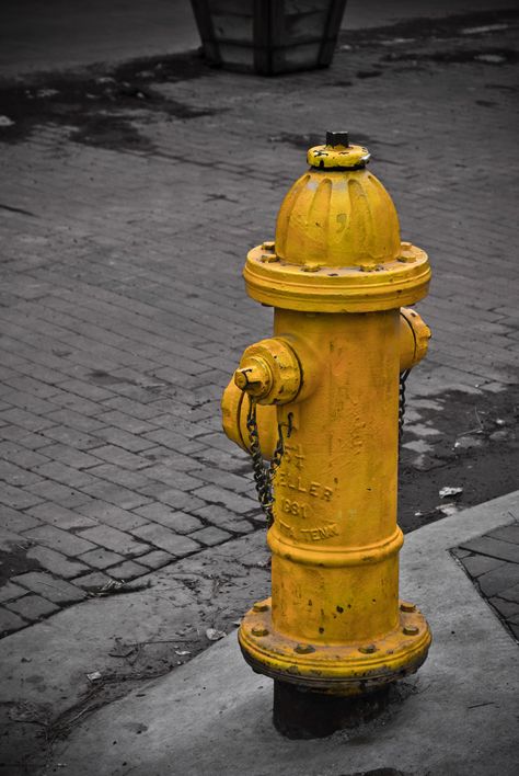 Hello all! Tumblr, Fire Hydrant Aesthetic, Objects Aesthetic, Fire Hydrants, Blue Flower Wallpaper, Aesthetic Objects, Color Splash Photography, Splash Photography, Fire Image