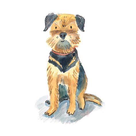 Lucy Pickett on Instagram: “My dog Hamish has been popping up in a few of my drawings recently, so I thought I would introduce him! He’s a 10 year old border terrier…” Border Terrier Illustration, Old Dog Drawing, Border Terrier Art, Border Terrier Drawing, Dog Illustration Art, Border Terrier Puppy, Border Terrier, My Drawings, Dog Illustration