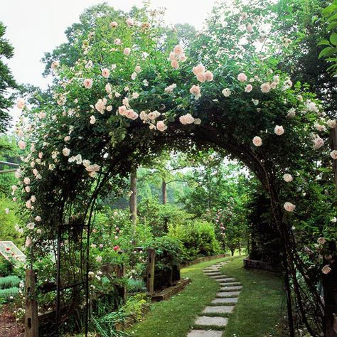 Use Sturdy Metal for Vast Amounts of Greenery. A wrought-iron arbor is the perfect choice when vast greenery and hundreds of blooms need support. This arbor supports the stretch and tumble of hundreds of roses in full bloom, making it look like an entrance to paradise. Because the climbing vines hide the design, a simple, no-frills structure is all that is necessary--as long as it is sturdy. Climbing Roses, Climbing Garden, Arbor Design, Rose Home Decor, Garden Home Decor, Garden Rose, Home Decor Tips, Garden Home, Arbor