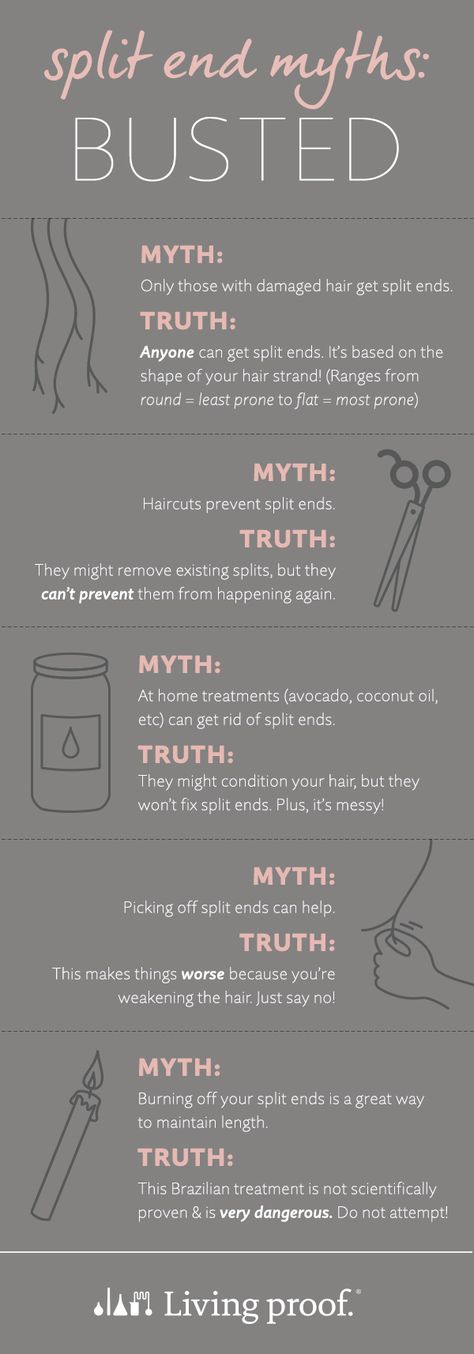 With all the DIY split end fighting methods and extreme split end treatments out there, it's hard to tell fact from fiction. Get the real scoop on split ends. #YourBestHair Hair Facts, Split End, Growth Hair, New Hair Growth, Natural Hair Tips, Hair Growth Tips, Split Ends, Hair Journey, Hair Health