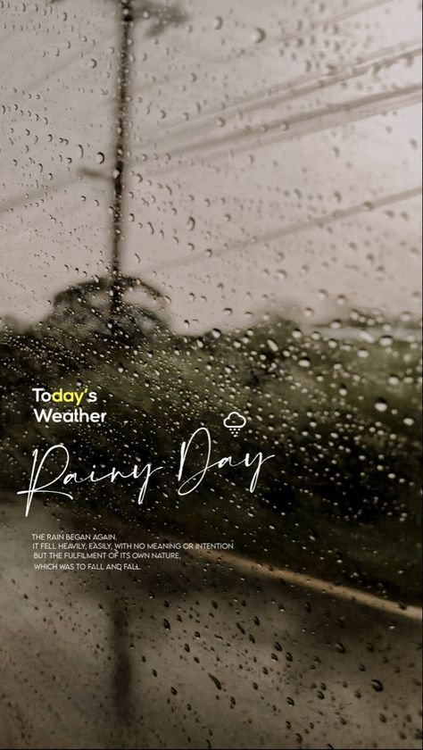 Rain Story Ideas, Birthday Quotes Funny For Him, Quotes About Photography, Animal Cake, Instagram Layout, Creative Instagram Stories, Instagram Creative, Story Ideas, Instagram Story Ideas