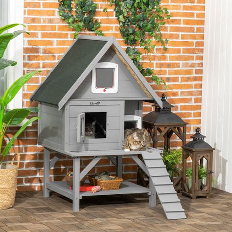 House With Terrace, Cat House Outdoor, Outside Cat House, Outdoor Cat Shelter, Feral Cat Shelter, Feral Cat House, Wooden Cat House, Canopy Architecture, Cat Houses