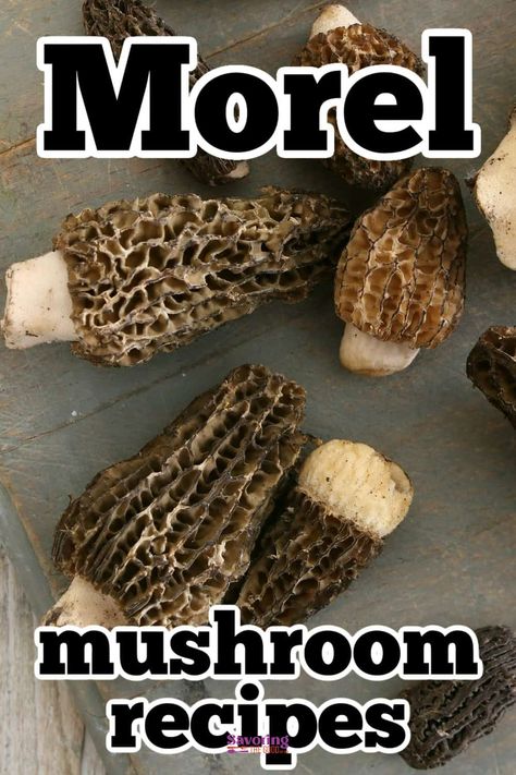 20 Best Morel Mushroom Recipes Dried Morel Mushroom Recipes, Dehydrated Mushrooms Recipes, Moral Mushroom Recipes, Morrell Mushroom Recipes, Moral Mushrooms, Mushroom Side Dish Recipes, Morel Mushroom Recipes, Caramelized Onion Pizza, Creamy Sauces