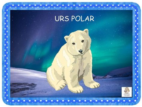 Urs Polar, Quick Saves, Art