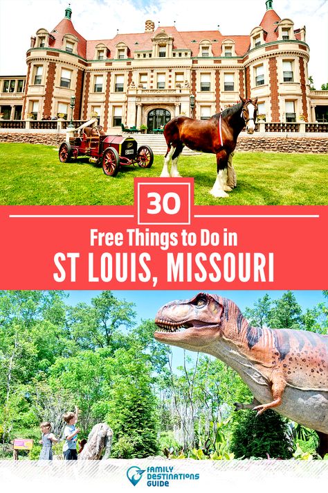 St Louis Free Things To Do, St Louis Family Vacation Kids, Day Trips From St Louis, St Louis Missouri With Kids, St Louis Instagram Spots, Delmar Loop St Louis, St Louis Things To Do, Things To Do In St Louis, Things To Do In St Louis Missouri