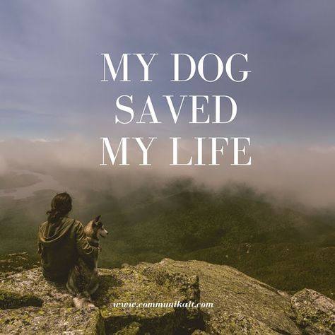 Of course my dog is my best friend, but I never realized she would save my life. More on CommuniKait: How My Dog Saved My Life Pets Quotes, Save Me Quotes, Pet Quotes, Dog Lover Quotes, Dog Man, Dog Loss, Therapy Dog, Earth Angels, Me And My Dog