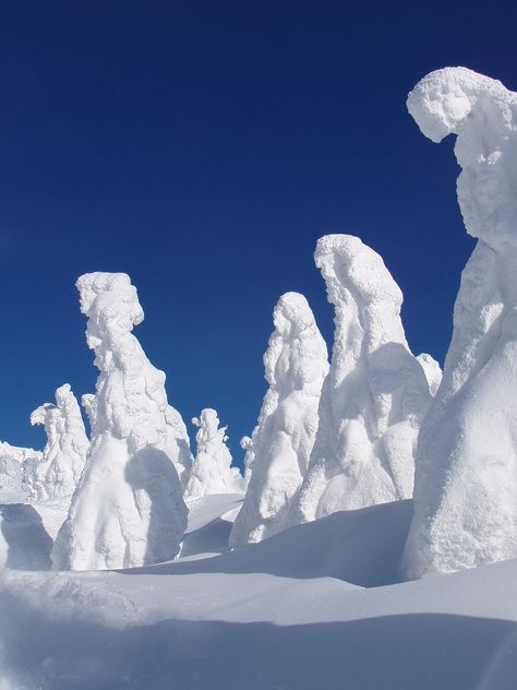 Mount Hakkoda (八甲田山, Hakkōdasan) is a set of volcanic peaks in Aomori Prefecture located between Aomori City and Lake Towada. Included among Japan's 100 Famous Mountains, Mount Hakkoda is known for its seasonal beauty which includes nature, hiking and famous hot springs. Aomori Japan, Snow Monster, Japan Winter, Aomori, Fukushima, Trees, Japan, Photography, Design