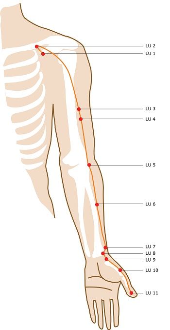 Meridian Acupuncture, Meridian Points, Skin Bumps, Energy Medicine, Acupuncture Points, Acupressure Points, Traditional Chinese Medicine, Reflexology, Chinese Medicine